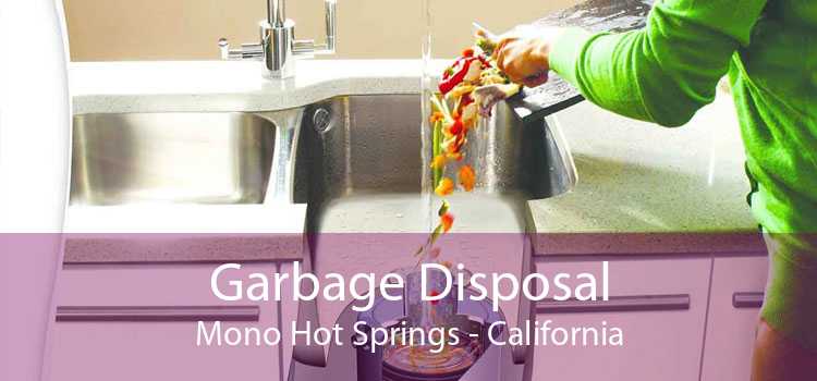 Garbage Disposal Mono Hot Springs - California