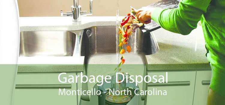 Garbage Disposal Monticello - North Carolina