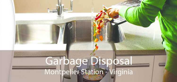 Garbage Disposal Montpelier Station - Virginia