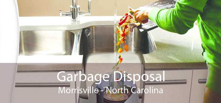 Garbage Disposal Morrisville - North Carolina