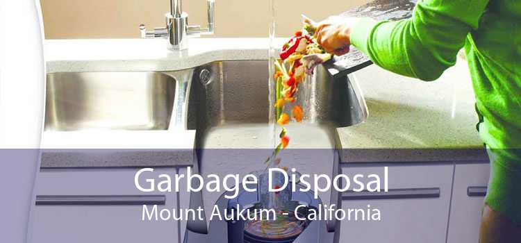 Garbage Disposal Mount Aukum - California