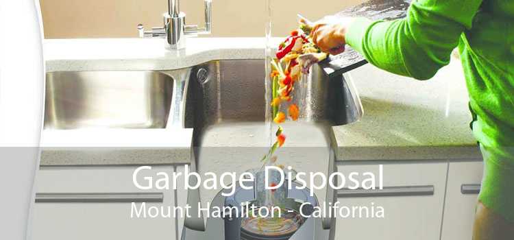 Garbage Disposal Mount Hamilton - California