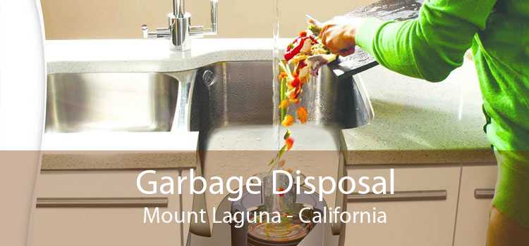 Garbage Disposal Mount Laguna - California