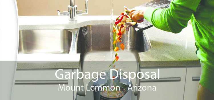 Garbage Disposal Mount Lemmon - Arizona