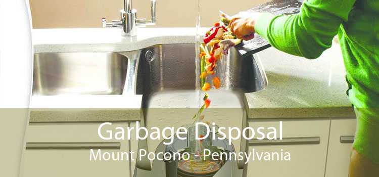Garbage Disposal Mount Pocono - Pennsylvania
