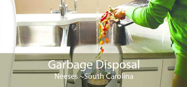Garbage Disposal Neeses - South Carolina