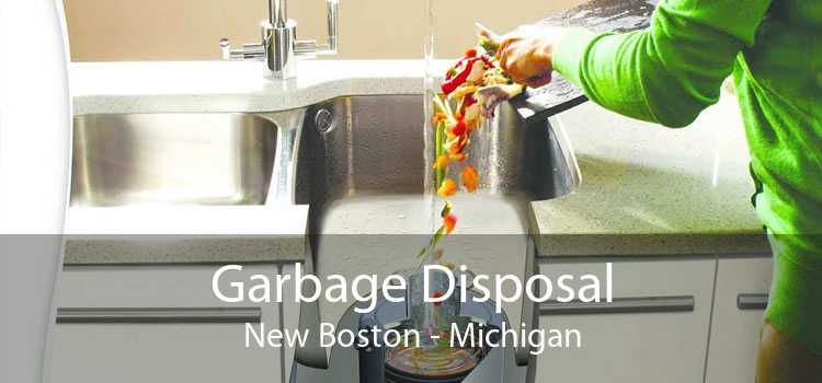 Garbage Disposal New Boston - Michigan