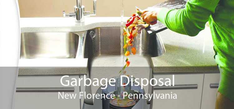 Garbage Disposal New Florence - Pennsylvania