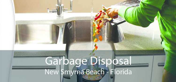 Garbage Disposal New Smyrna Beach - Florida