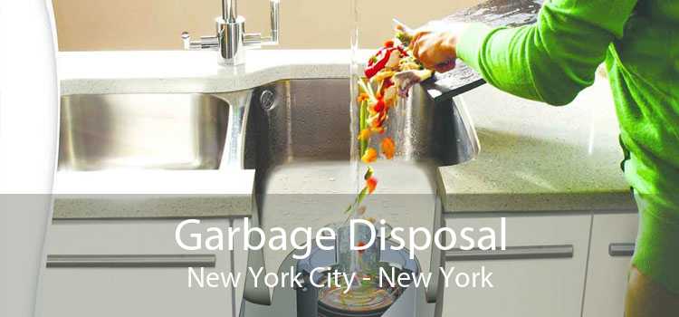 Garbage Disposal New York City - New York