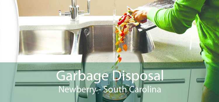 Garbage Disposal Newberry - South Carolina