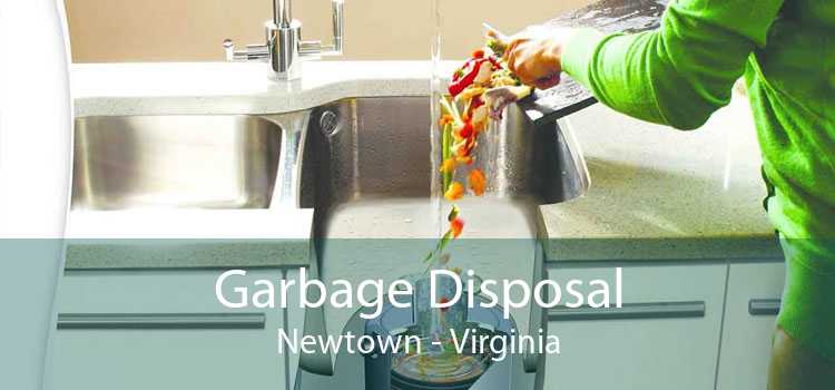 Garbage Disposal Newtown - Virginia