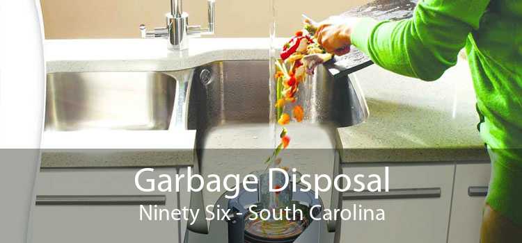 Garbage Disposal Ninety Six - South Carolina