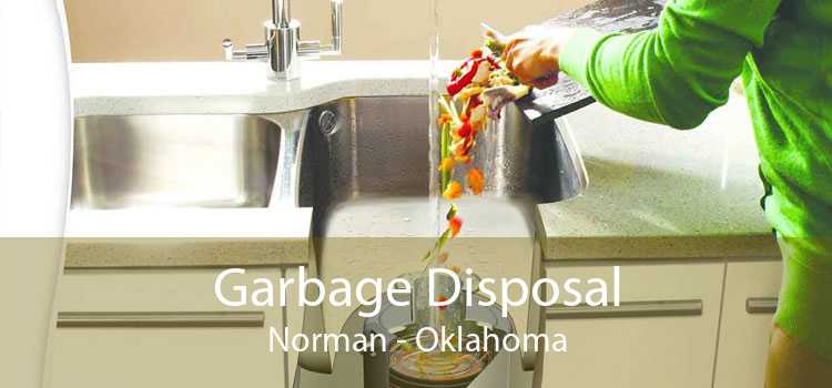 Garbage Disposal Norman - Oklahoma