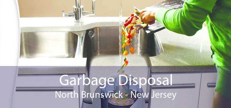 Garbage Disposal North Brunswick - New Jersey