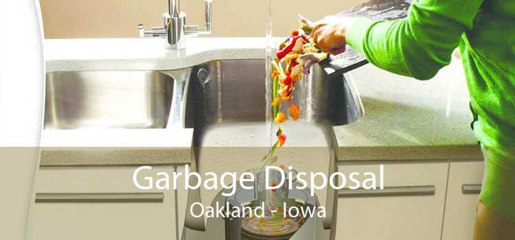 Garbage Disposal Oakland - Iowa