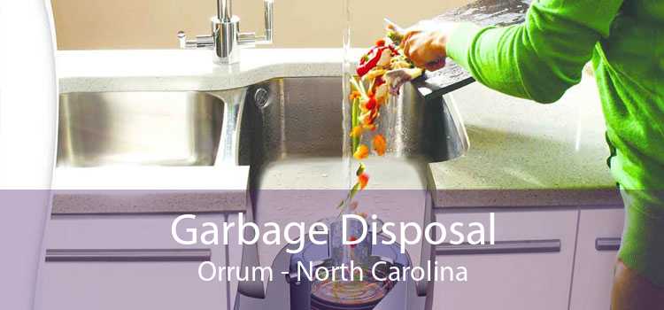 Garbage Disposal Orrum - North Carolina