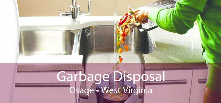 Garbage Disposal Osage - West Virginia