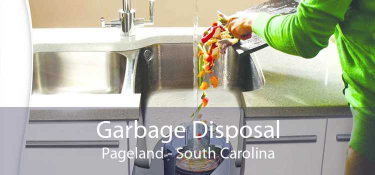 Garbage Disposal Pageland - South Carolina