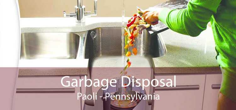 Garbage Disposal Paoli - Pennsylvania