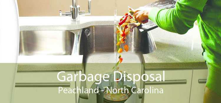 Garbage Disposal Peachland - North Carolina