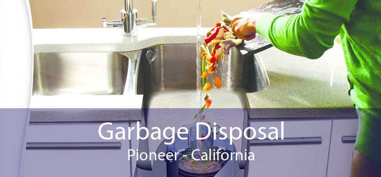 Garbage Disposal Pioneer - California