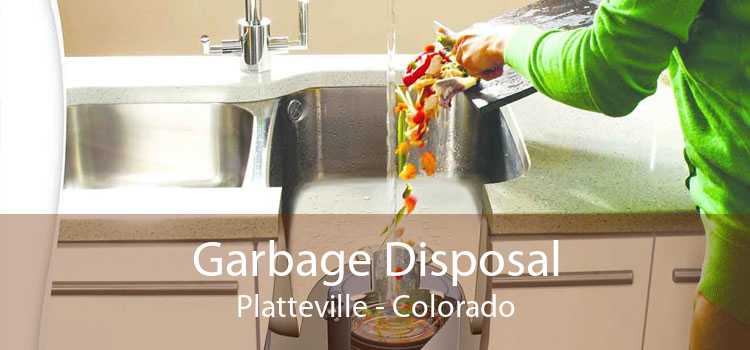 Garbage Disposal Platteville - Colorado