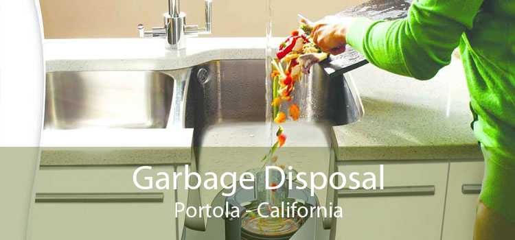 Garbage Disposal Portola - California