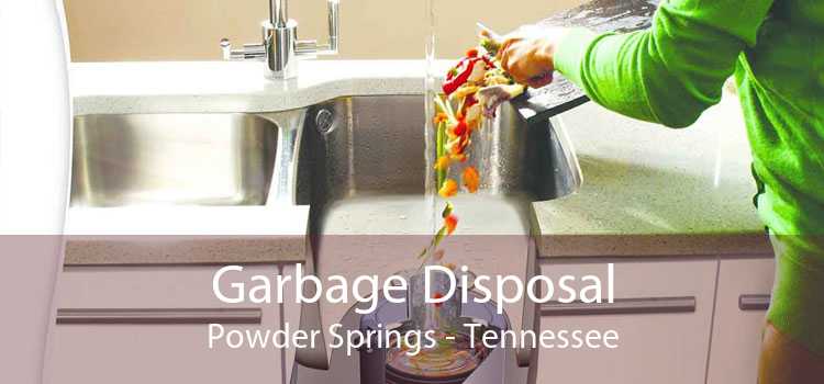 Garbage Disposal Powder Springs - Tennessee