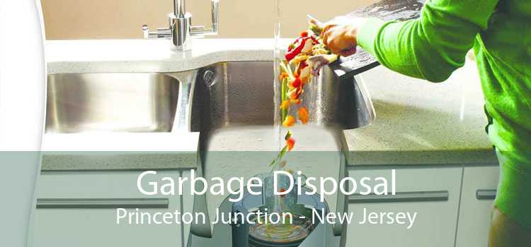 Garbage Disposal Princeton Junction - New Jersey