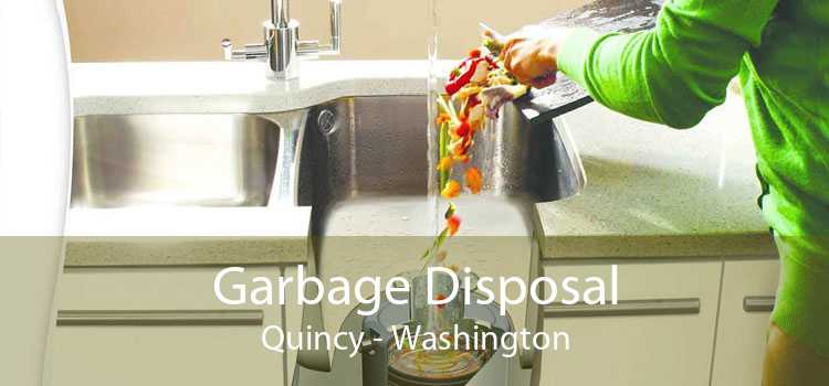 Garbage Disposal Quincy - Washington