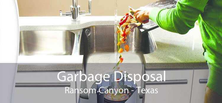 Garbage Disposal Ransom Canyon - Texas