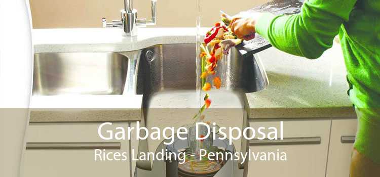 Garbage Disposal Rices Landing - Pennsylvania