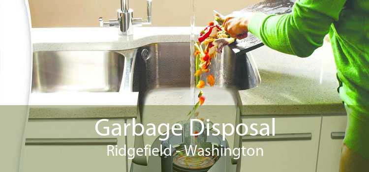 Garbage Disposal Ridgefield - Washington