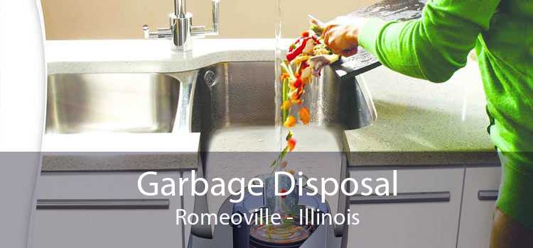Garbage Disposal Romeoville - Illinois