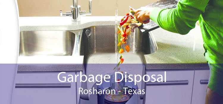 Garbage Disposal Rosharon - Texas