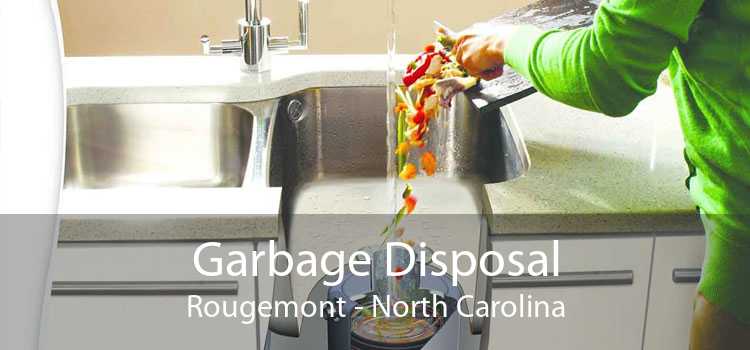 Garbage Disposal Rougemont - North Carolina