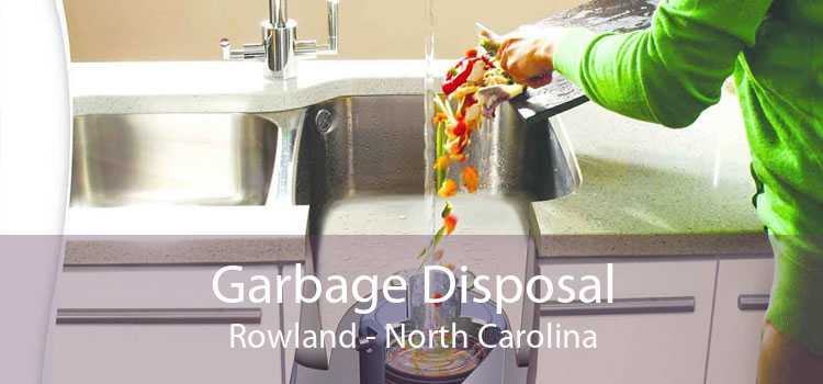 Garbage Disposal Rowland - North Carolina