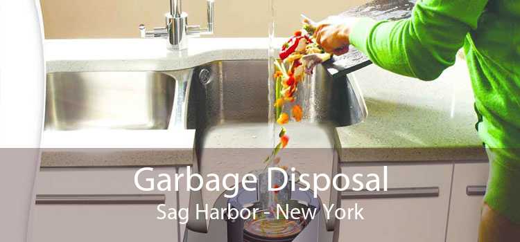 Garbage Disposal Sag Harbor - New York