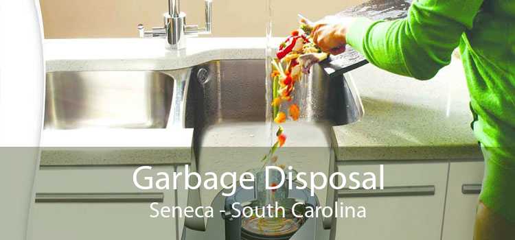 Garbage Disposal Seneca - South Carolina