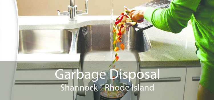 Garbage Disposal Shannock - Rhode Island