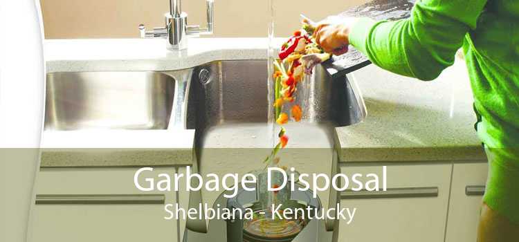 Garbage Disposal Shelbiana - Kentucky
