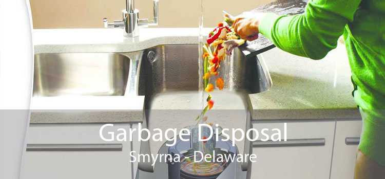 Garbage Disposal Smyrna - Delaware