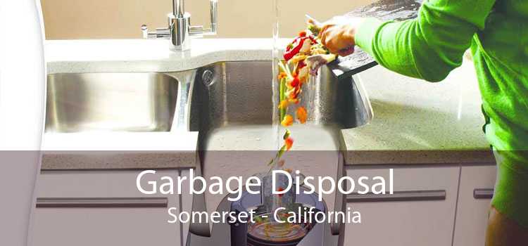 Garbage Disposal Somerset - California