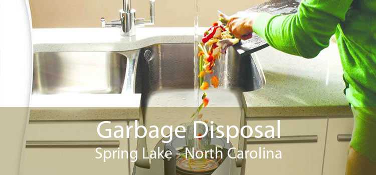 Garbage Disposal Spring Lake - North Carolina