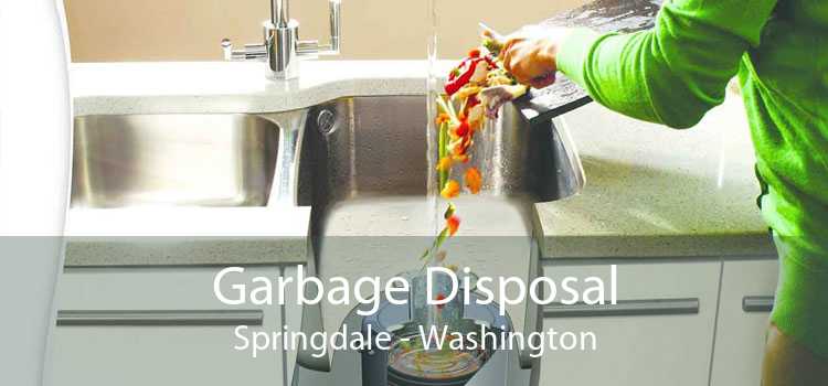Garbage Disposal Springdale - Washington