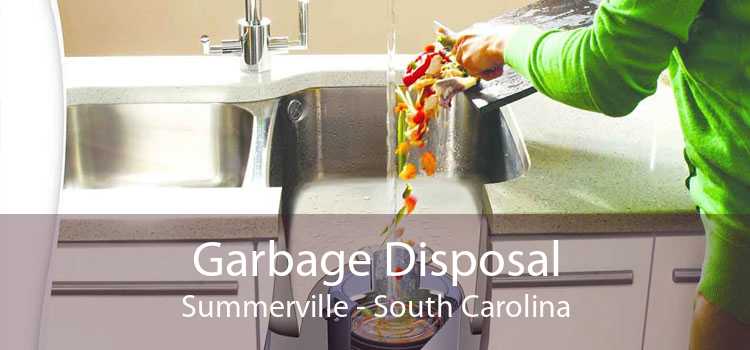 Garbage Disposal Summerville - South Carolina