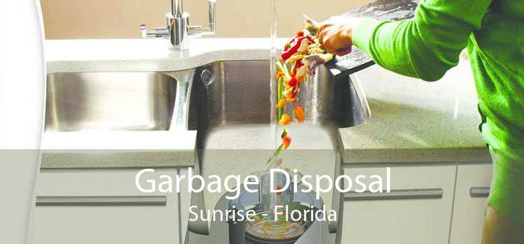Garbage Disposal Sunrise - Florida