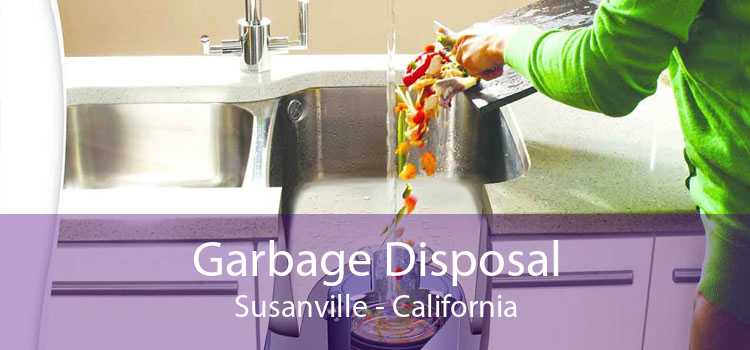 Garbage Disposal Susanville - California