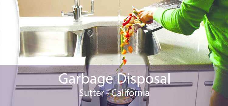 Garbage Disposal Sutter - California